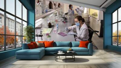 Chemist in mask examining liquid in test tubes while working with her colleagues in the laboratory Wall mural