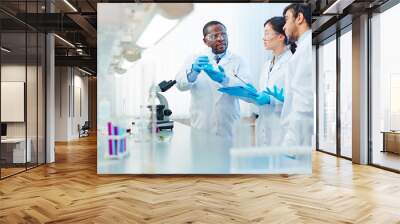 Male African-American laboratory scientist holding flask with blue liquid discussing chemical reaction with male Latin-American and female Asian colleagues. Wall mural