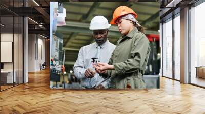 Two factory workers, one senior man and one young woman, discussing repair of machinery in an industrial setting, both wearing safety helmets and focused on task Wall mural