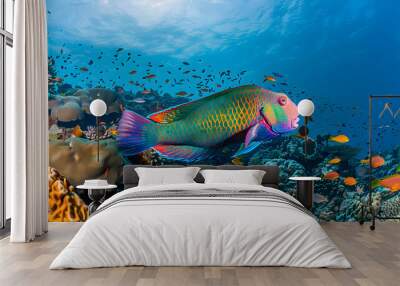 Colorful parrotfish exploring a vibrant coral reef teeming with marine life under a clear blue sky Wall mural