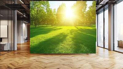 A serene park with lush green grass, trees, and sunlight casting long shadows in the morning. Wall mural