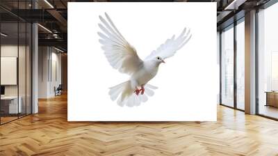 Beautiful white dove flying, freedom concept isolated on white background Wall mural