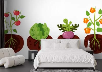 Garden plant root vegetable grow crop agriculture concept. Vector graphic design illustration Wall mural