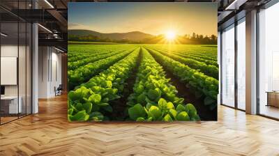 neatly arranged rows of organic crops in a farm setting Wall mural