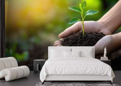 A close-up of hands holding soil with a small plant growing, symbolizing environmental protection and sustainability. Wall mural