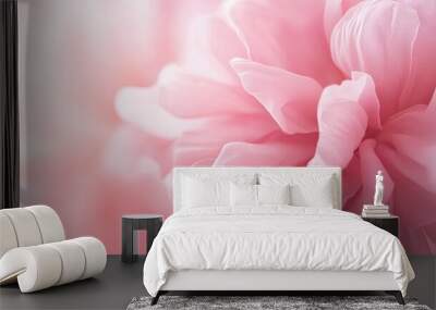 A soft pink background with subtle gradients, providing a gentle, calm, and elegant setting for beauty products, romantic designs, or wellness themes. Wall mural