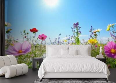 A wide-open meadow with wildflowers in full bloom, under a clear blue sky. Wall mural