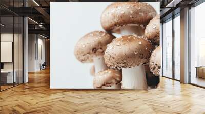 Fresh and vibrant mushrooms, set against a white background, with droplets of moisture emphasizing their juiciness and freshness. Wall mural