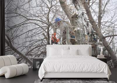 two working men cut down a large tree in winter using a special rig machine Wall mural