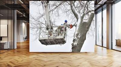 Two working men cut down a large tree in winter using a special rig machine Wall mural