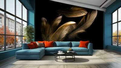 bird feather on black background Wall mural