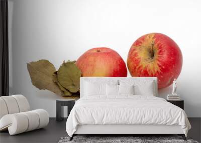 Ripe apple with dried leaves on a white background Wall mural