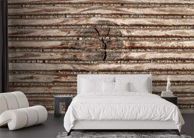 Texture of gray old wooden background. Wall mural