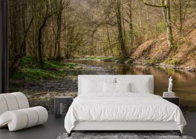 River Kupfer at spring time Wall mural