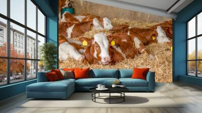 some cattle in a stable Wall mural