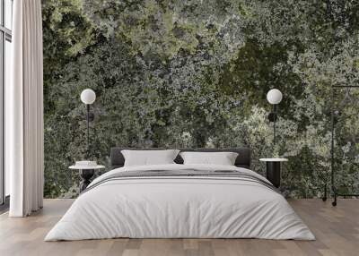 3d material green mossy walls background Wall mural