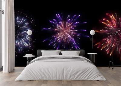 Colorful firework on midnight sky Wall mural