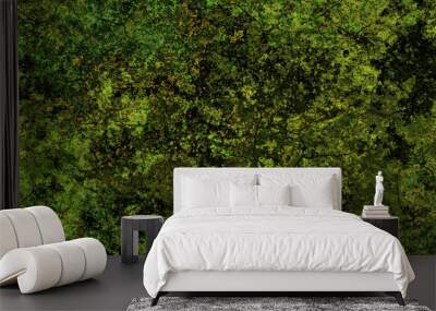 Cracked mossy green wall texture background Wall mural