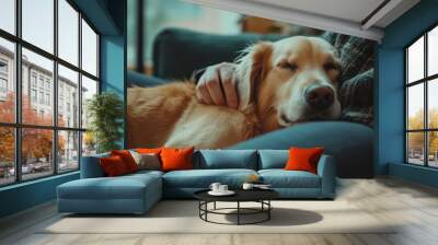 A golden retriever dog sleeps peacefully on a person's lap, enjoying the warmth and comfort. Wall mural