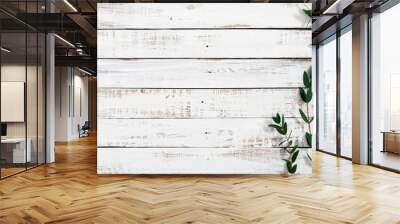 Eucalyptus branches and leaves on wooden rustic white background. Minimal background eucalyptus on white board. Flat lay, top view, copy space Wall mural