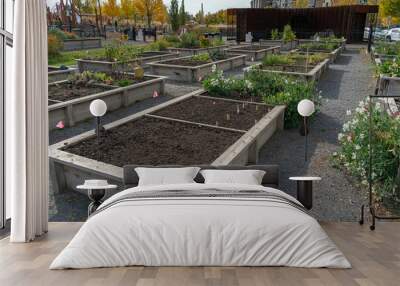 Community garden plots in downtown calgary for growing plants and food Wall mural