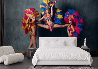 Three Woman in brazilian samba carnival costume with colorful feathers plumage. Wall mural