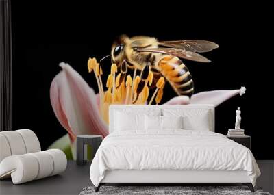 bee pollinating large, modified flower Wall mural