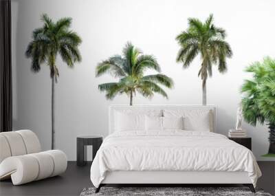 Collection of Palm trees isolated on white background Wall mural