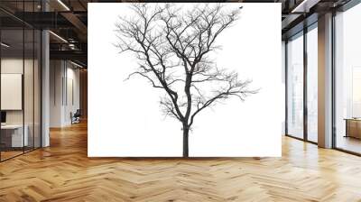 Leafless tree isolated white background Wall mural