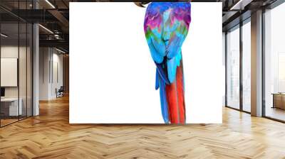 Colorful Macaw bird, parrot isolated on white background Wall mural