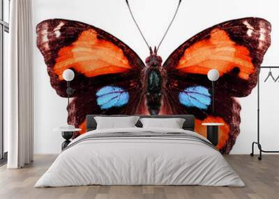 Exotic orange butterfly (yellow pansy) isolated on white backgro Wall mural