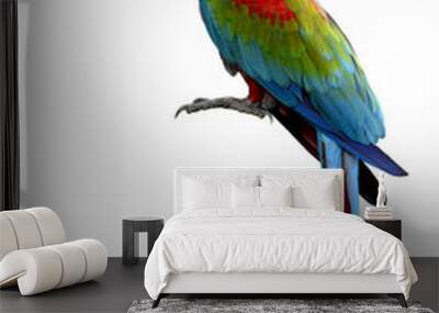 green-winged macaw parrot, beuatiful multi colors birds with red Wall mural