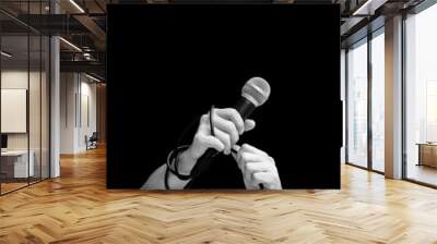 black and white guitarist, singer, bassist hands. isolated on black. music background Wall mural