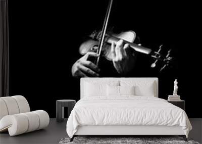 male musician hands playing classical violin, black and white Wall mural