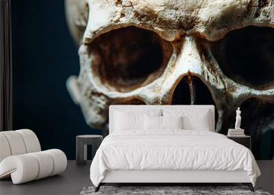 human skull Wall mural