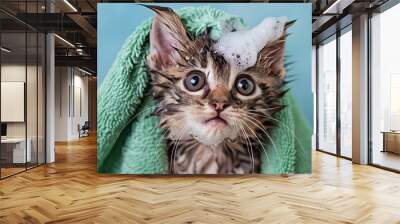 kitten taking a bath Wall mural