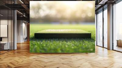 a square empty platform for product presentation on a green soccer pitch against a blurred background. Wall mural