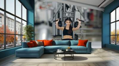 girl performs exercises on the simulator Wall mural