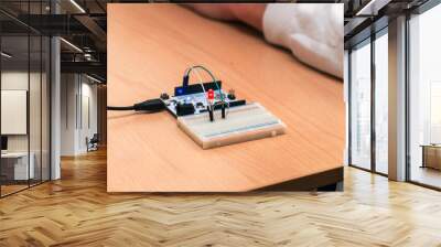 Small electronic Board with chips and wires Wall mural