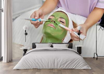 female beautician applies the mask to the face of beautiful woman in the spa salon. facial skin care Wall mural