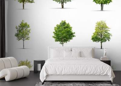 High definition collection Tree isolated on a white background Wall mural