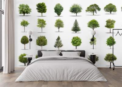 High definition collection Tree isolated on a white background Wall mural