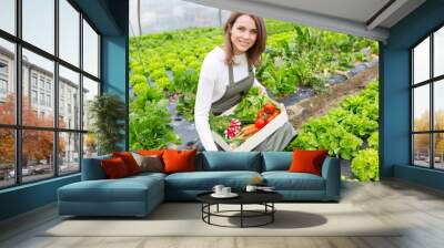 Young attractive woman collecting vegetable in a greenhouse Wall mural