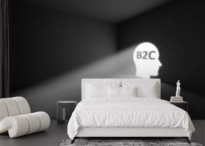 B2C rays volume light concept 3d illustration Wall mural