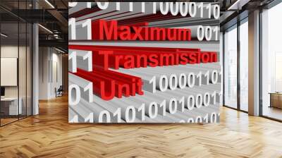 maximum transmission unit is represented as a binary code Wall mural