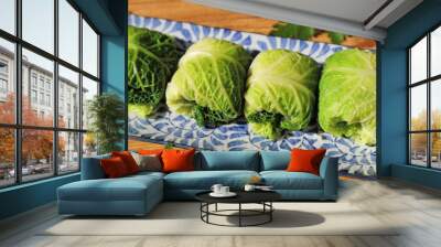 Stuffed cabbage. Wall mural