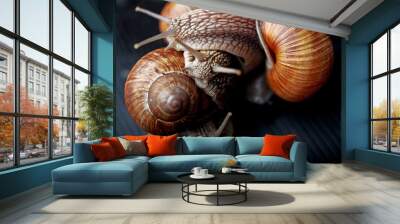 big snails crawling one on one in the studio Wall mural