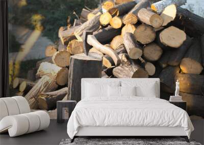 The ax in a log against the background of firewood. Wall mural