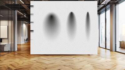 Realistic shadow effect vector set. Vector illustration. Wall mural