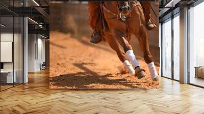 The rider on a reining horse slides to a stop in the red clay an arena. Wall mural